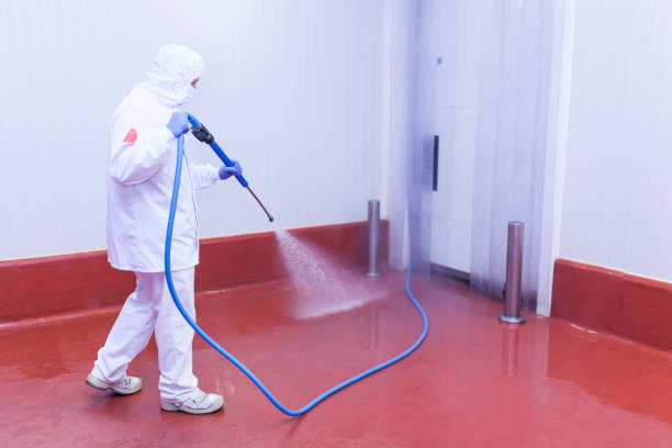 Best Paint Preparation  in Colon, MI