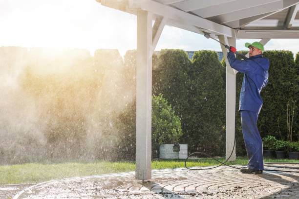 Best Boat and Dock Cleaning  in Colon, MI