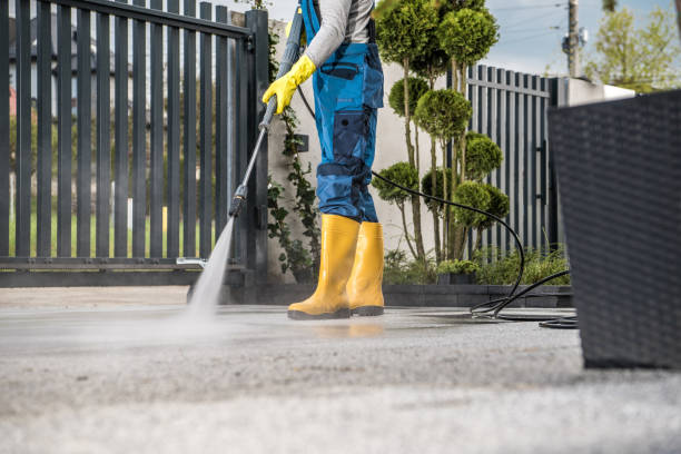 Best Graffiti Removal  in Colon, MI